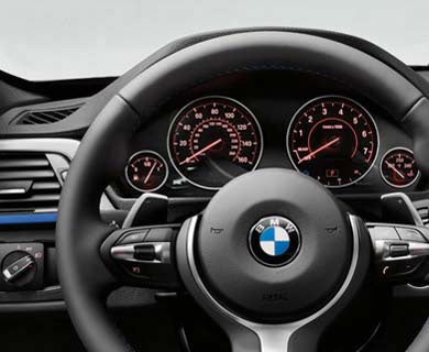BMW Interior Steering Wheel Photo
